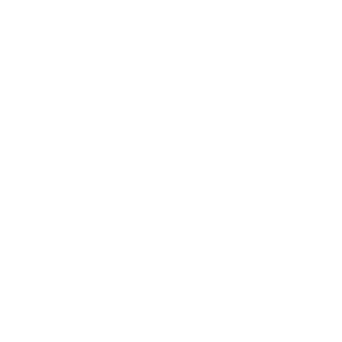 Grid Image 1